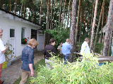 P8230031/JPG