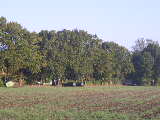 Pa090022/jpg
