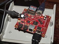 P8225298/JPG