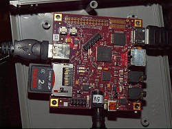 P8225298/JPG