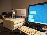 P8235338/JPG