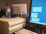 P8235339/JPG