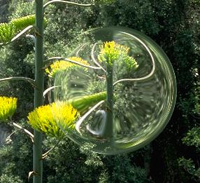 picture of soap bubble