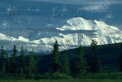 spotty mountain pic