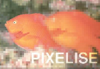 pixelised fish