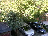 P8300038/JPG