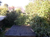 P8300039/JPG