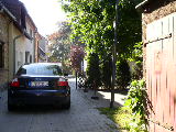 P8300054/JPG