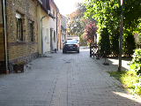 P8300055/JPG