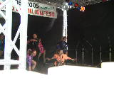 P6050007/JPG